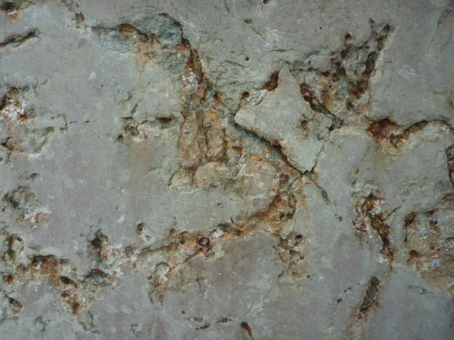 Rengjort område.JPG