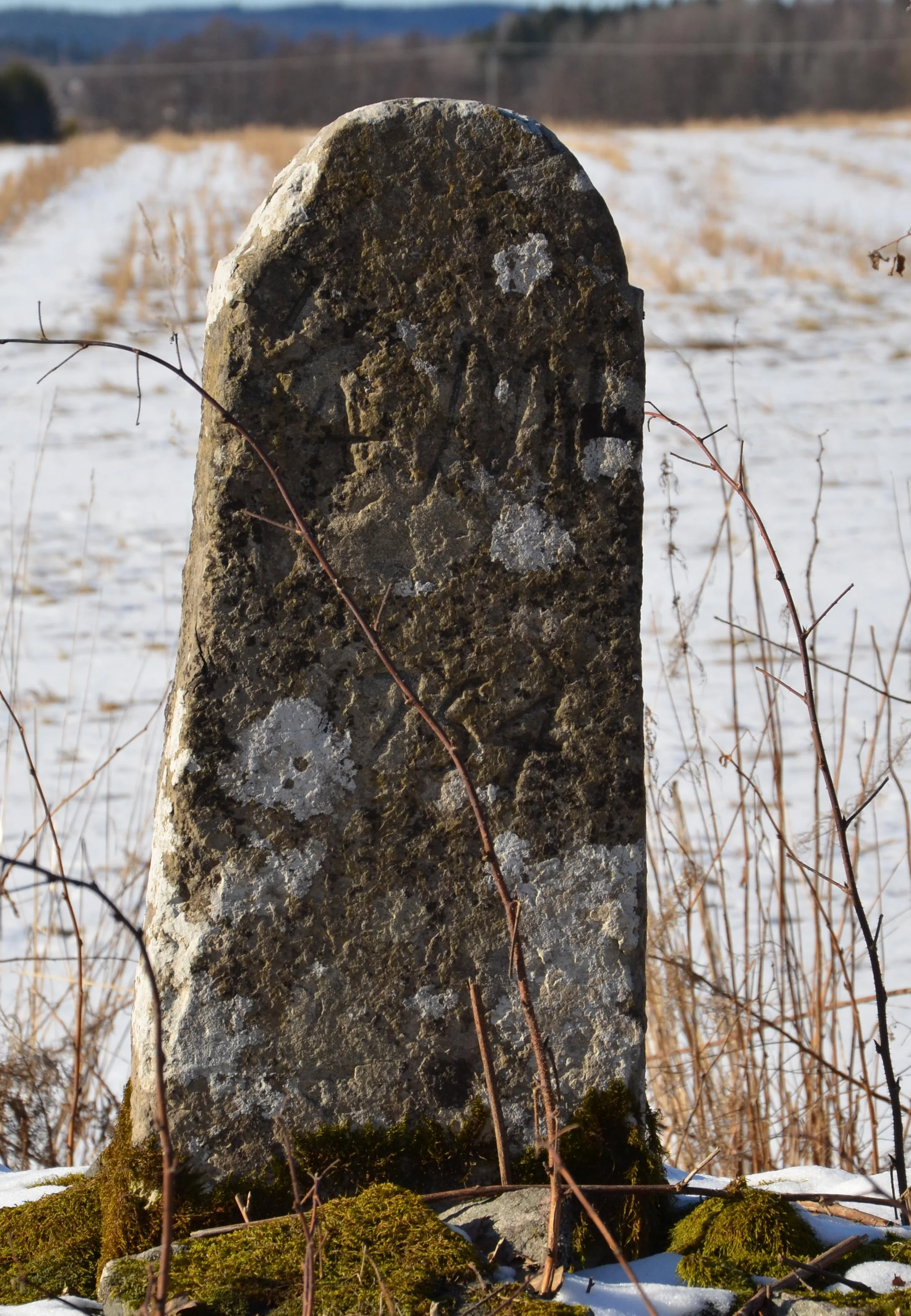 Milstenar i Dalsland 2013