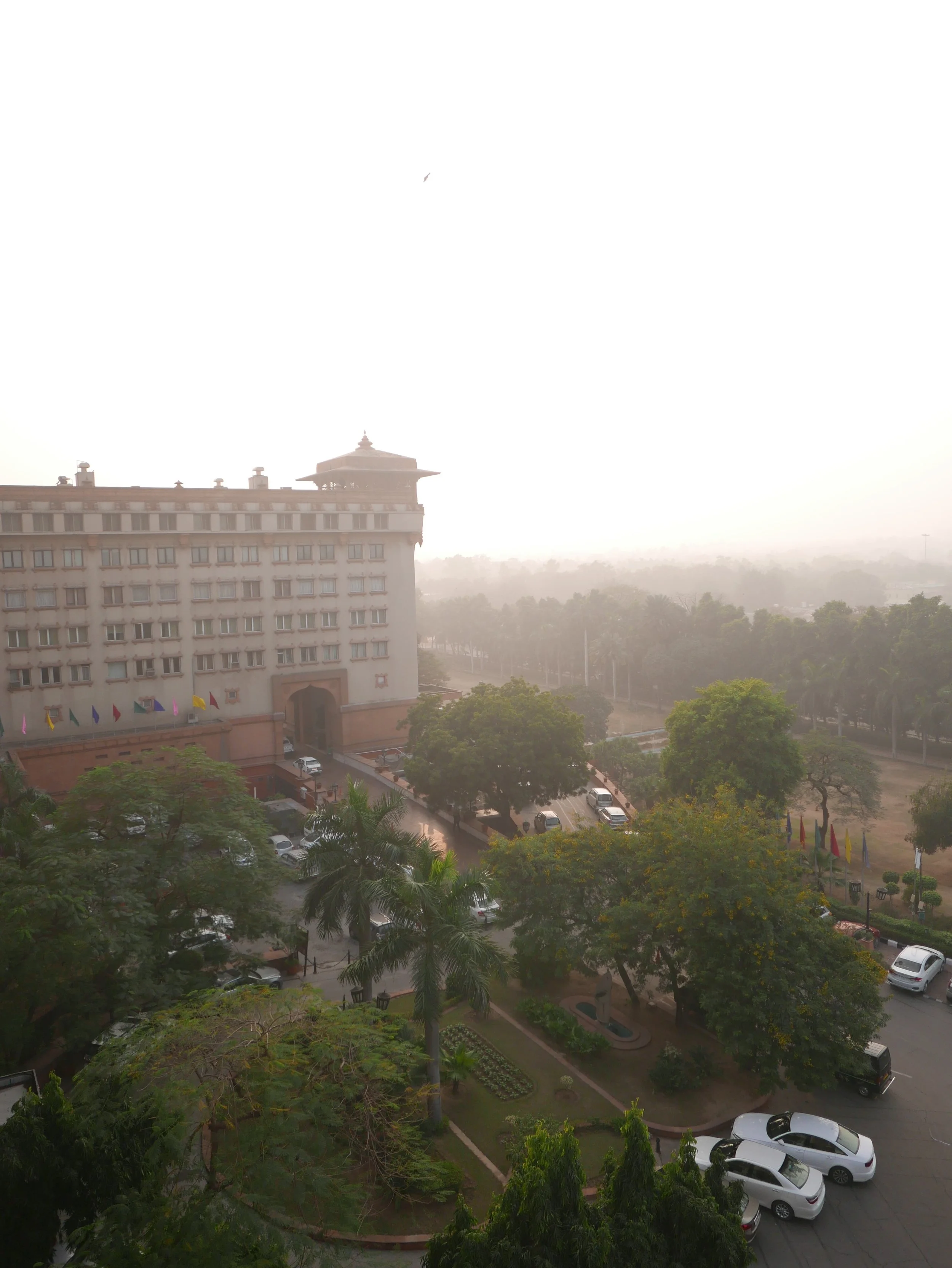 L1020271.jpg