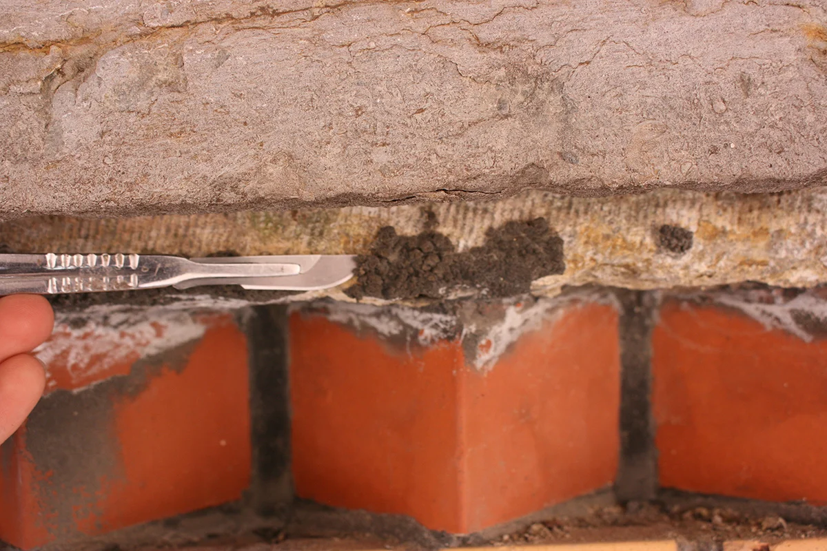  Krustor avlägsnas försiktigt med skalpell. 