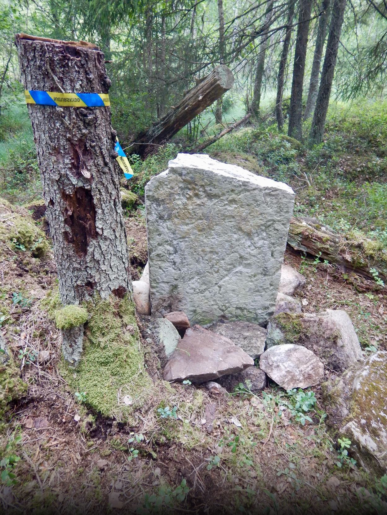  Baksidan mot ostsydost, efter åtgärder. 