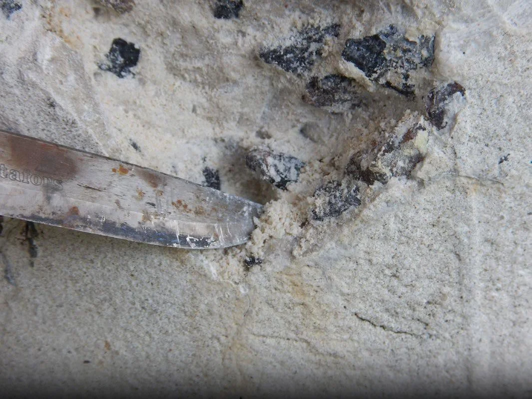  Poröst och fuktigt material avlägsnades. 