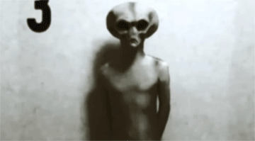 tumblr_mh6vadphgK1ri5tfmo1_r2_400.gif