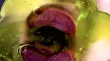 tumblr_mi9r4hFxLP1ri5tfmo1_r1_400.gif
