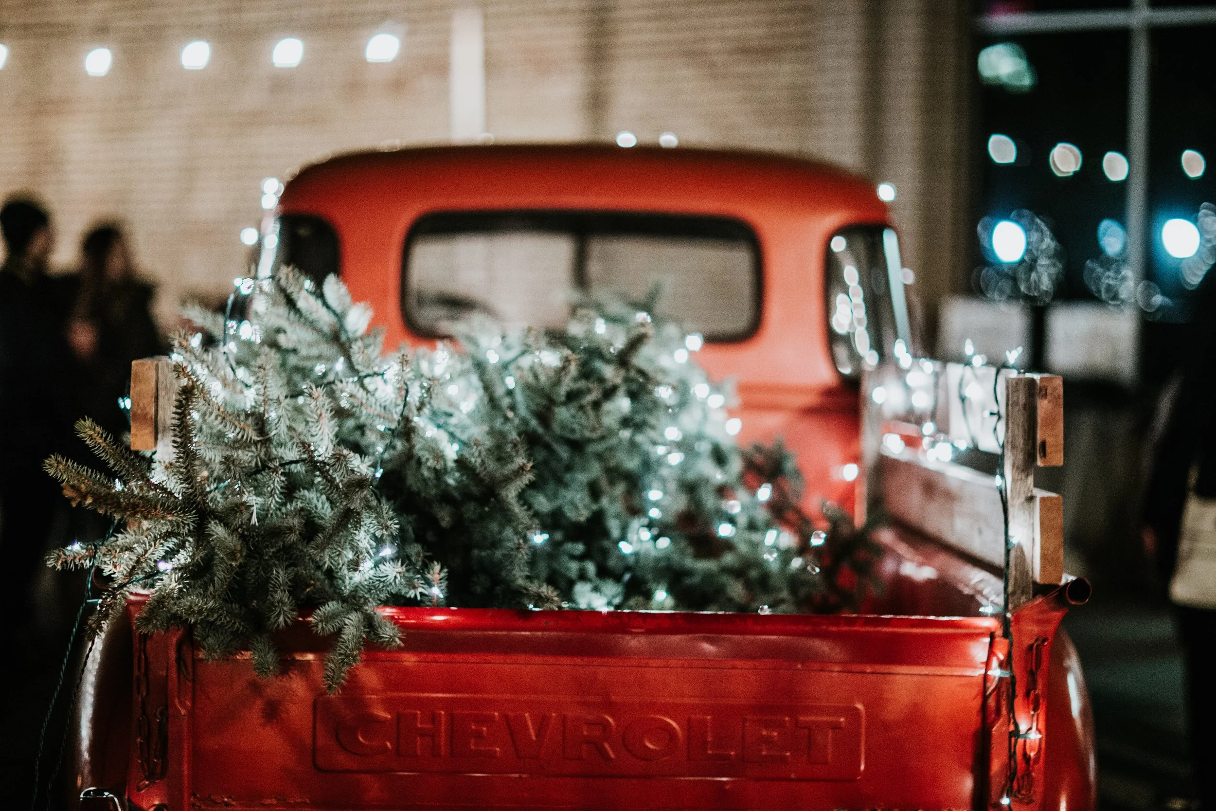 Order A Tree — Folkways