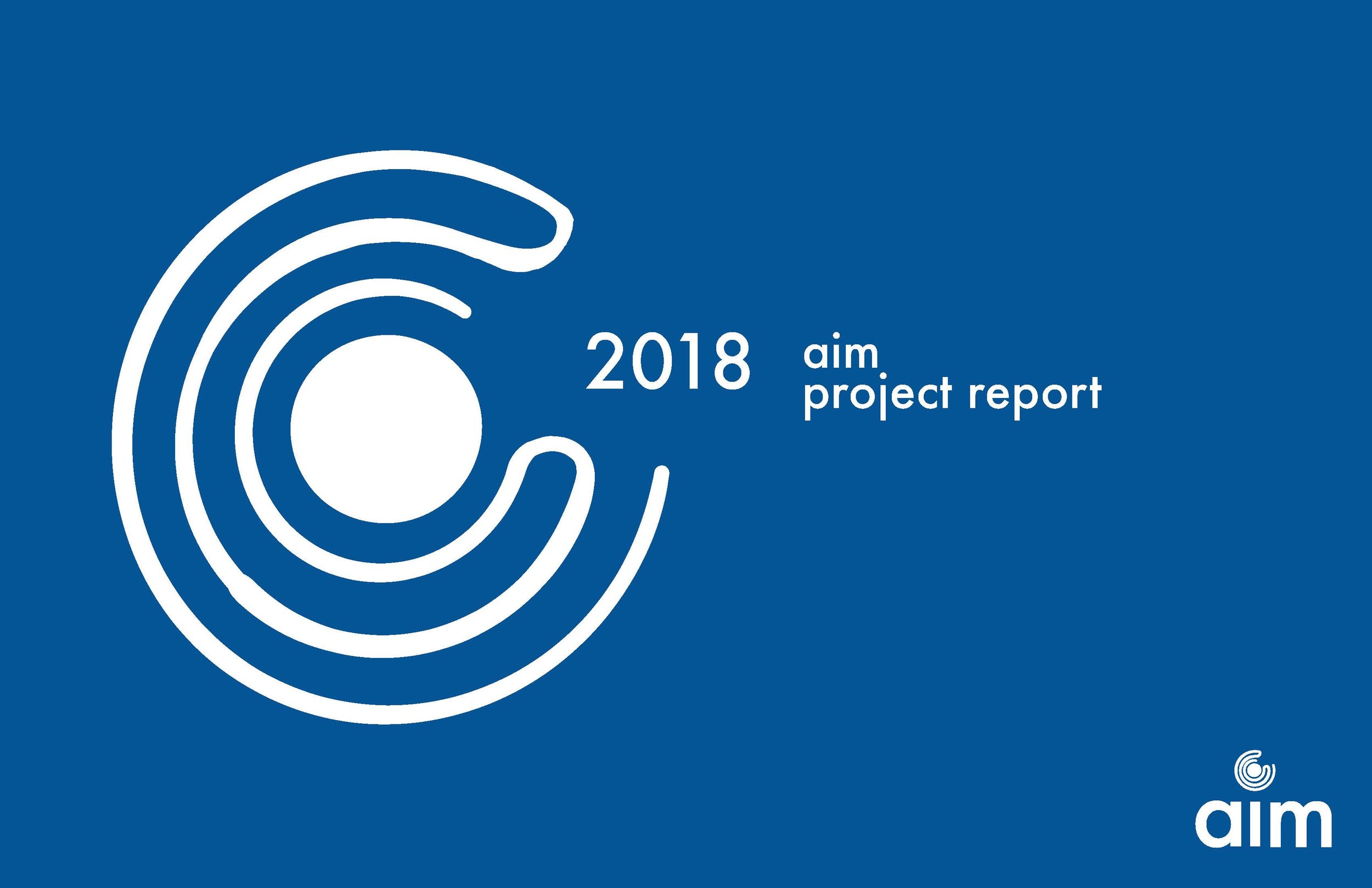 Aim Final Report Publication 1.jpg