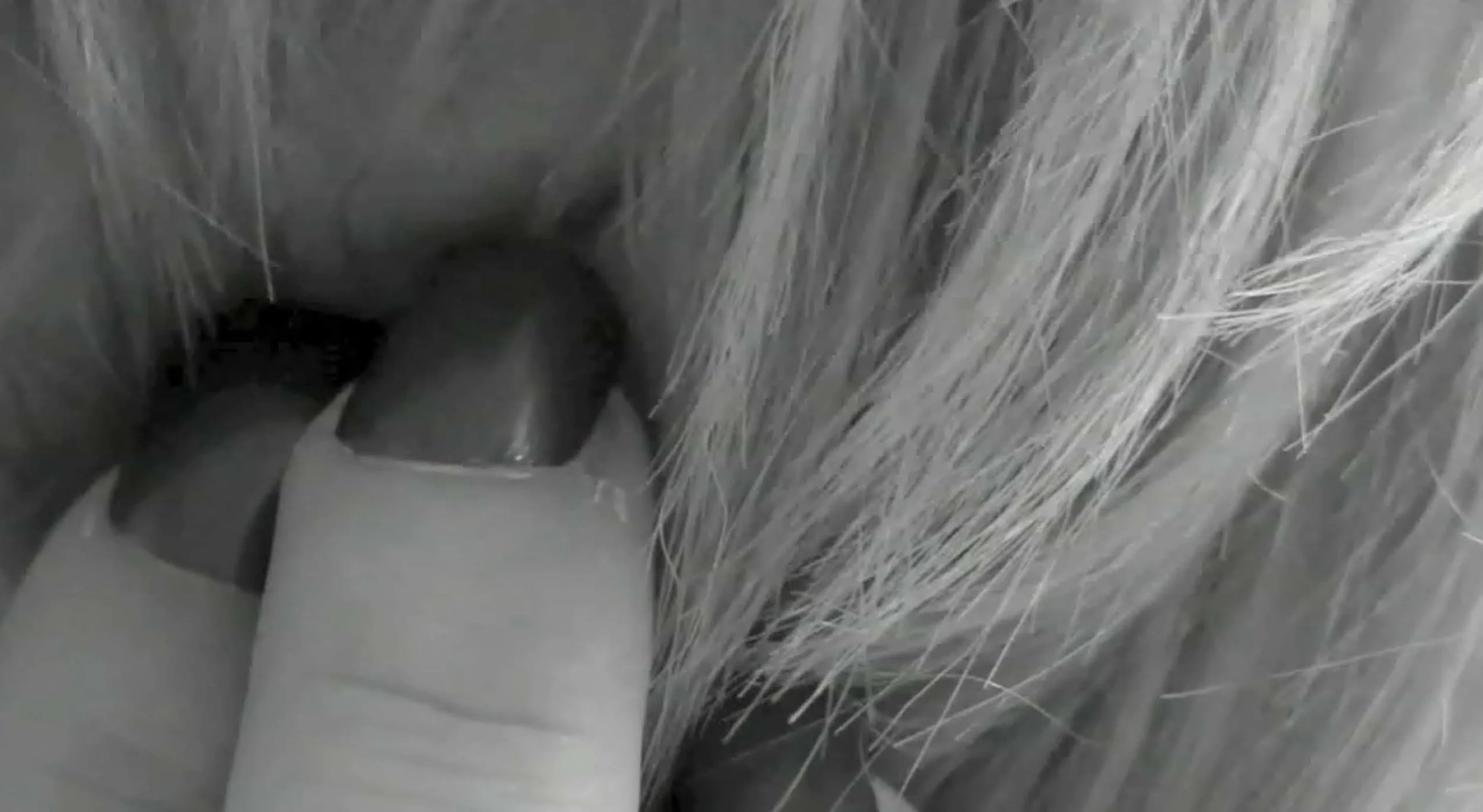  VIDEO STILLS. THE MILKMAN. 2012 