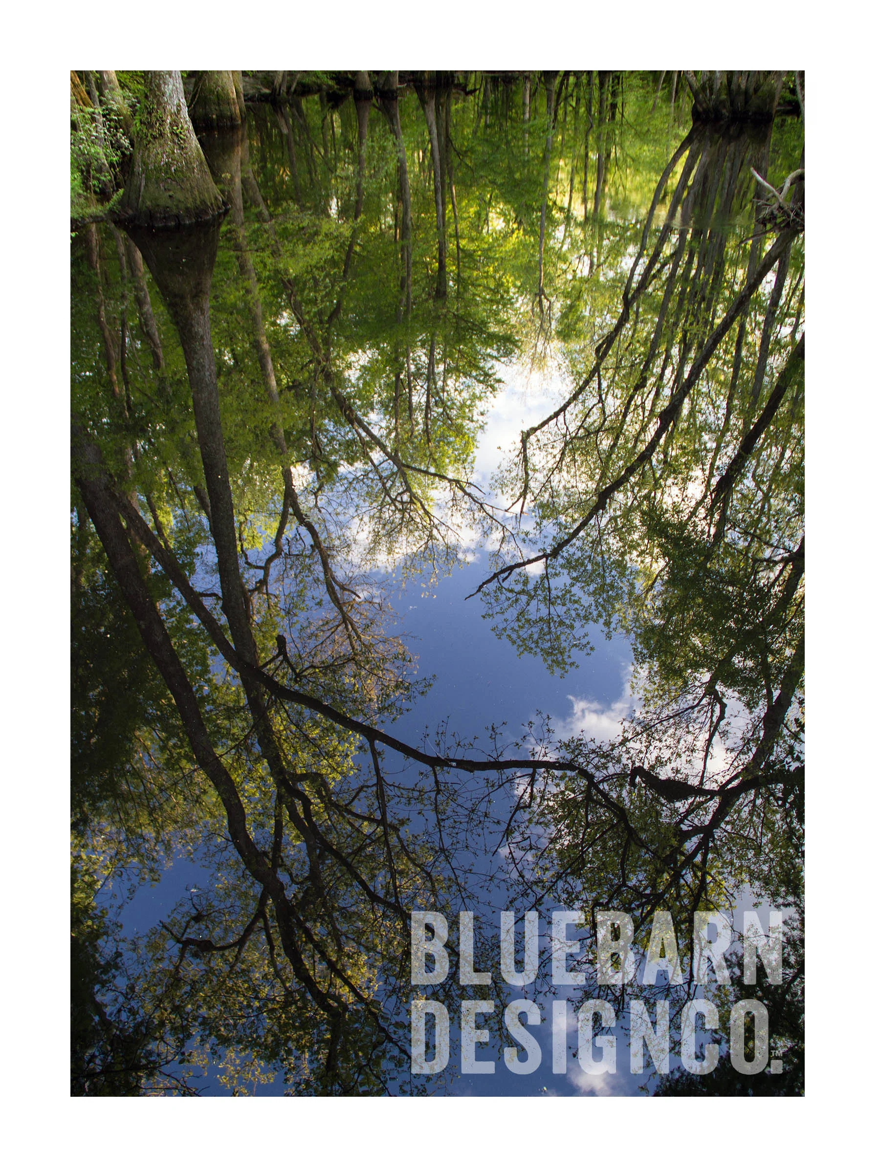 Pitt-Beaufort County Line