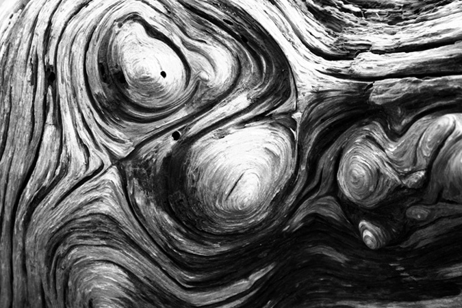 Log 026_ copy-2.jpg