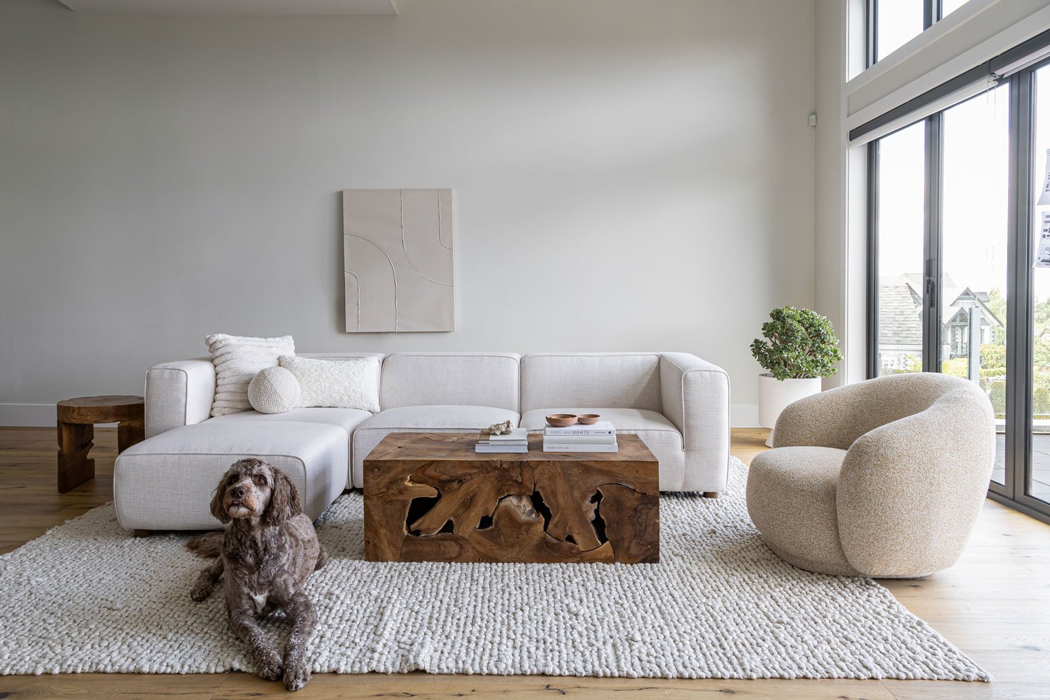 modern-home-cream-sofa-dog-on-rug.jpg
