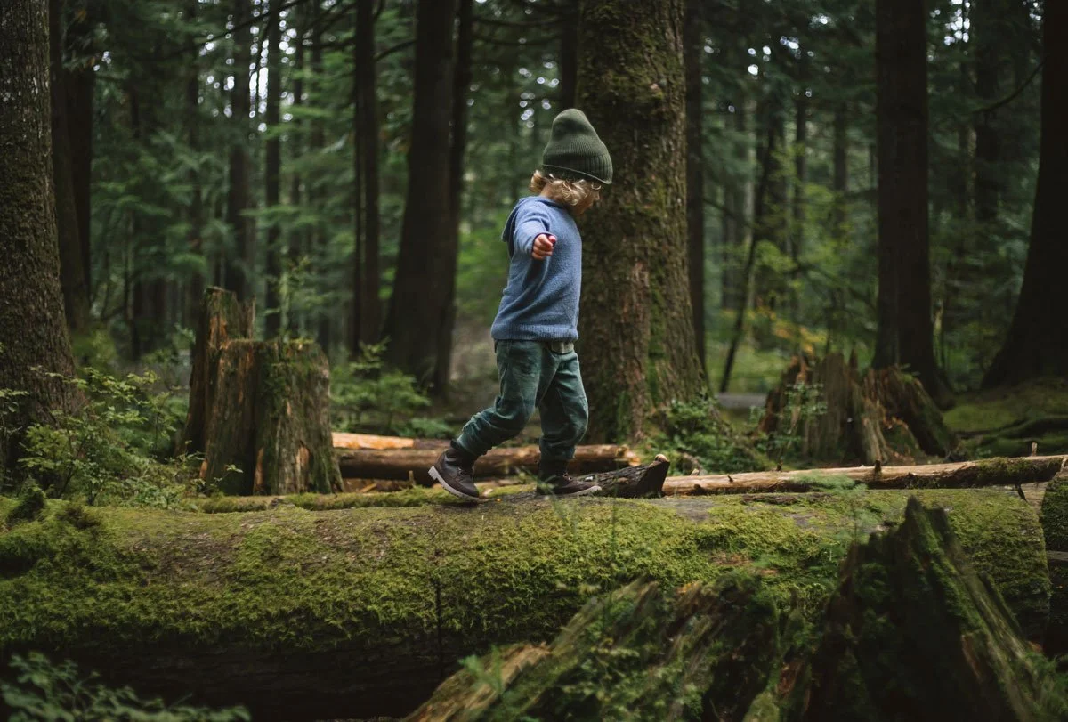coquitlam-bc-family-photography-child-balancing-on-log-forest.jpg