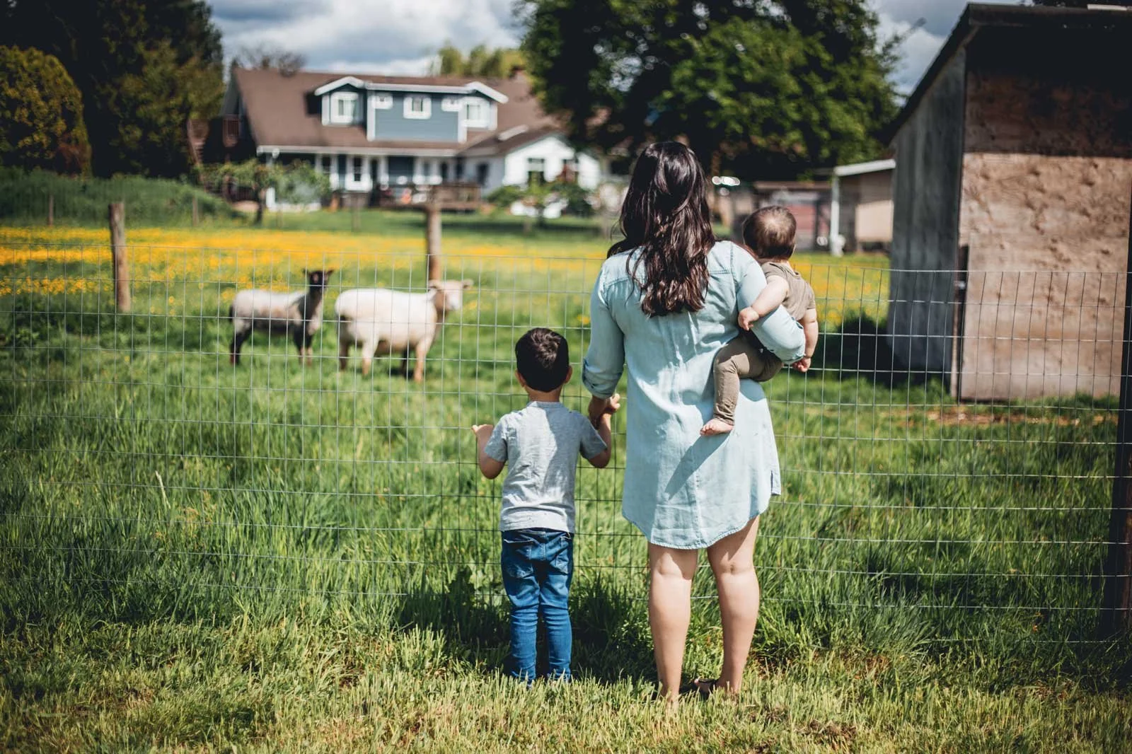 coquitlam-bc-photography-mom-and-kids-on-farm.jpg
