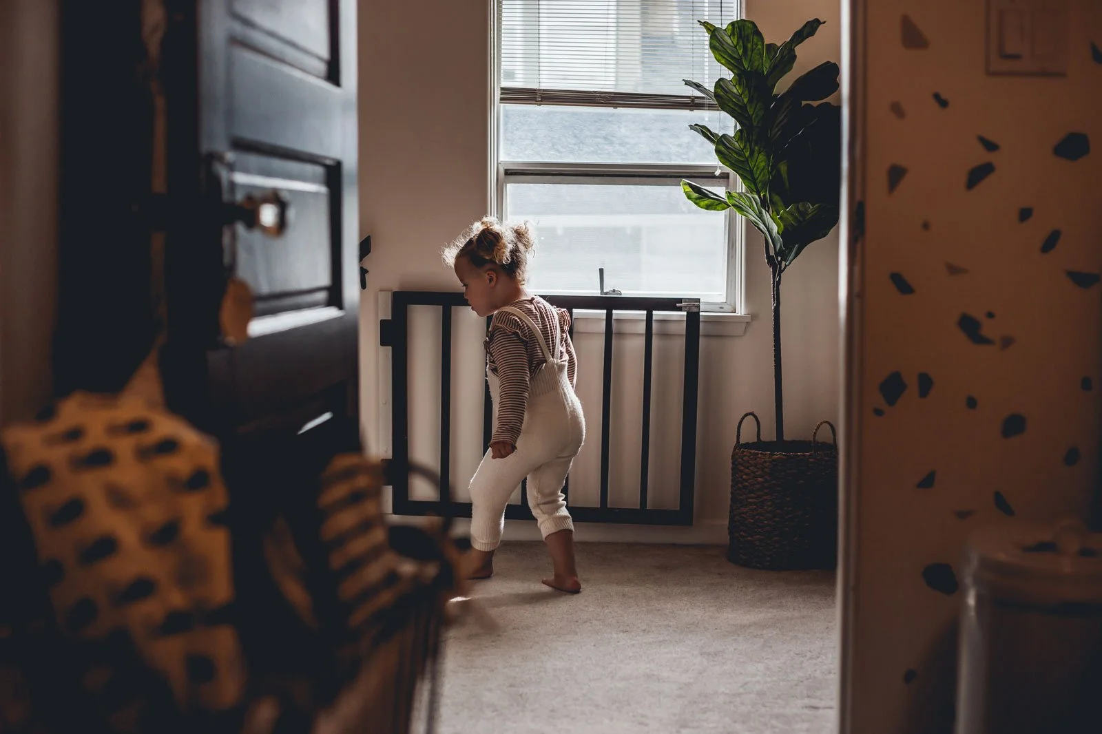 port-coquitlam-bc-family-photography-toddler-by-window-at-home.jpg