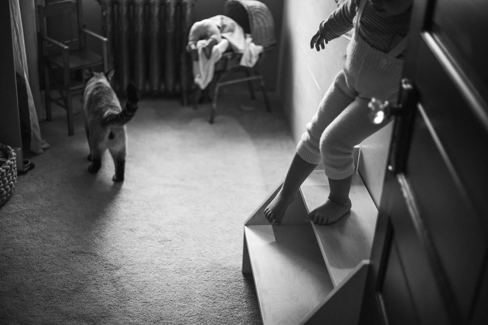 port-coquitlam-bc-family-photography-toddler-jumping-at-home.jpg