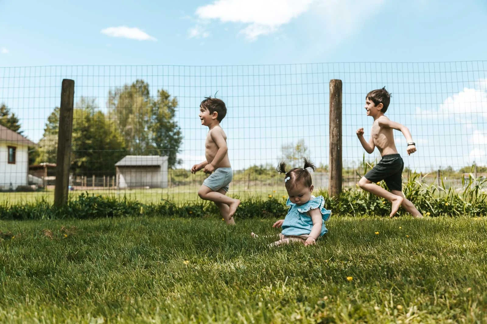 tri-cities-bc-family-photographer-farm-syblings-running-in-grass.jpg