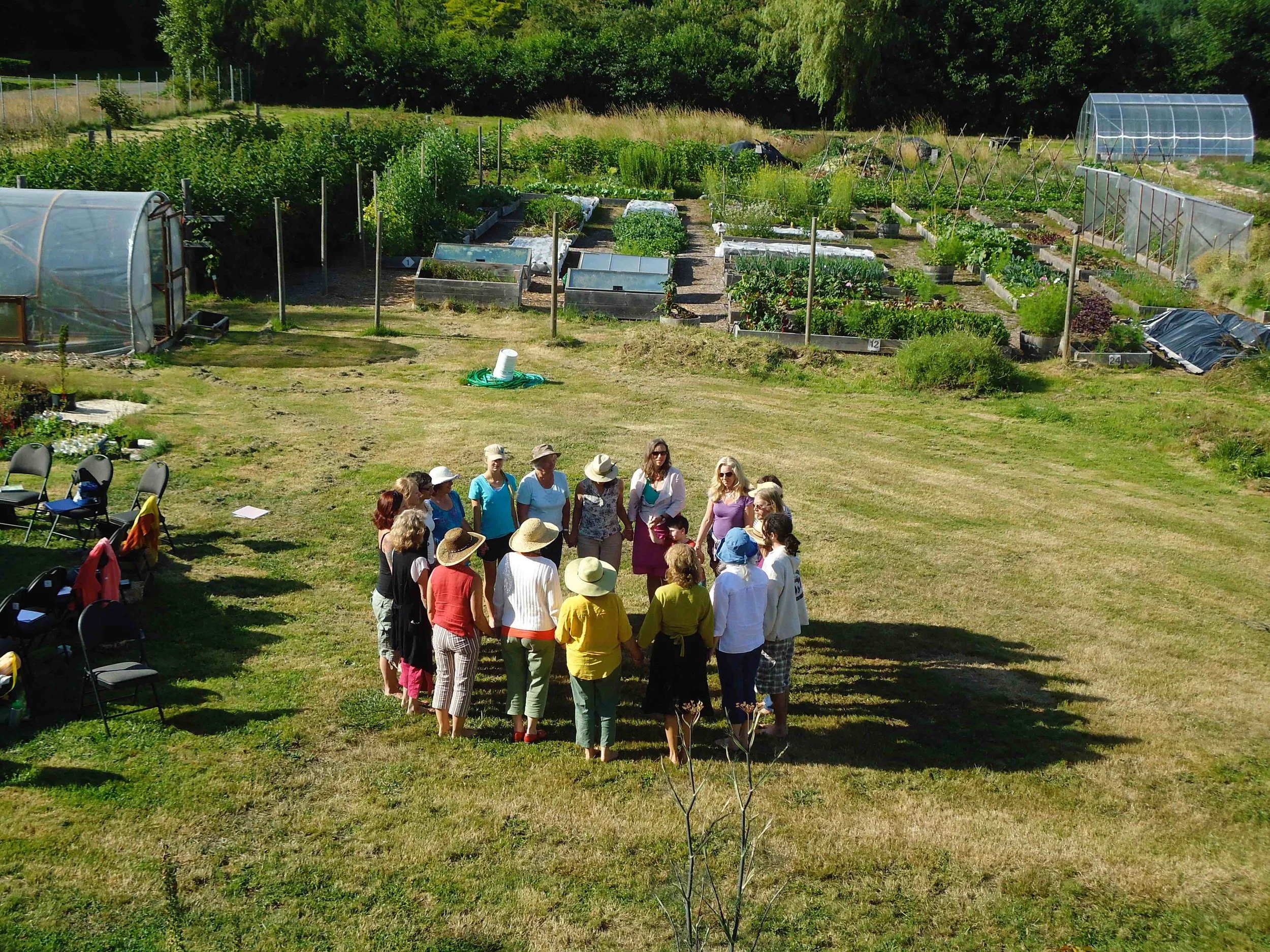 DSC02007.jpg