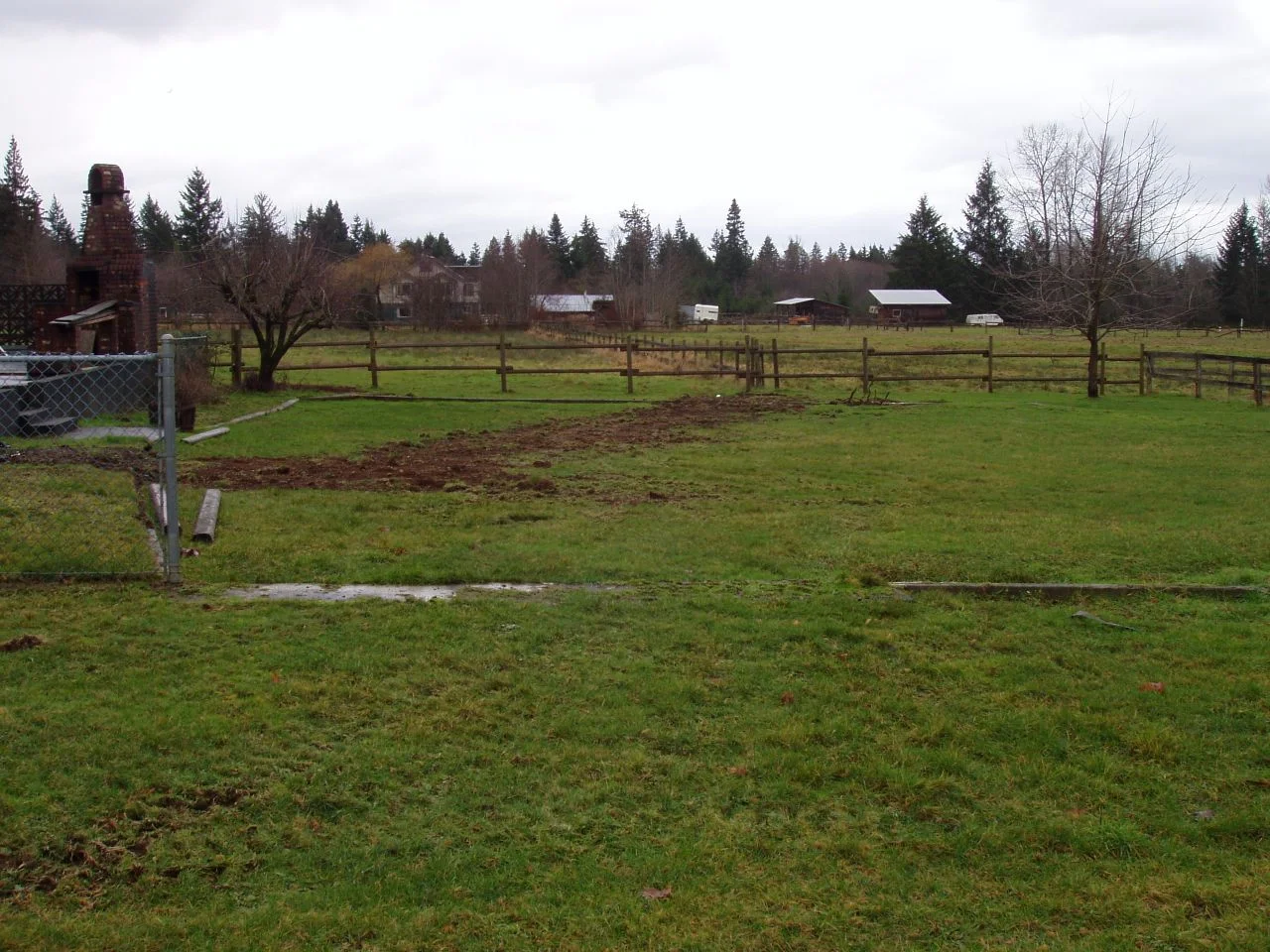 P1010007-4.jpg