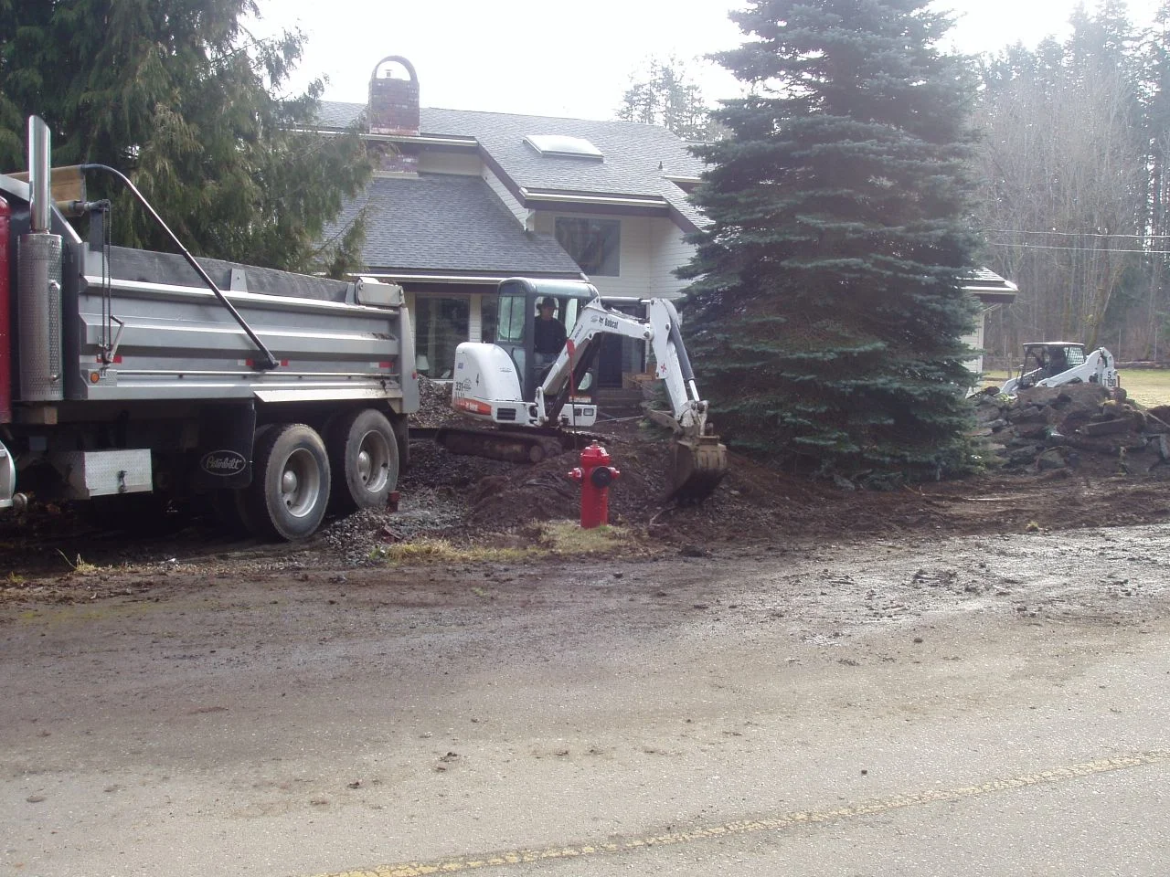 P1010003-5.jpg