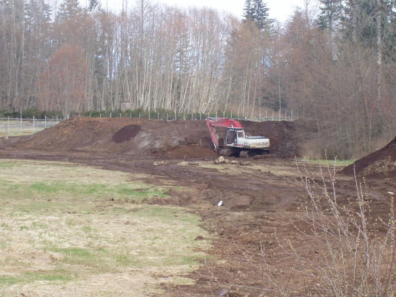 P1010009.jpg