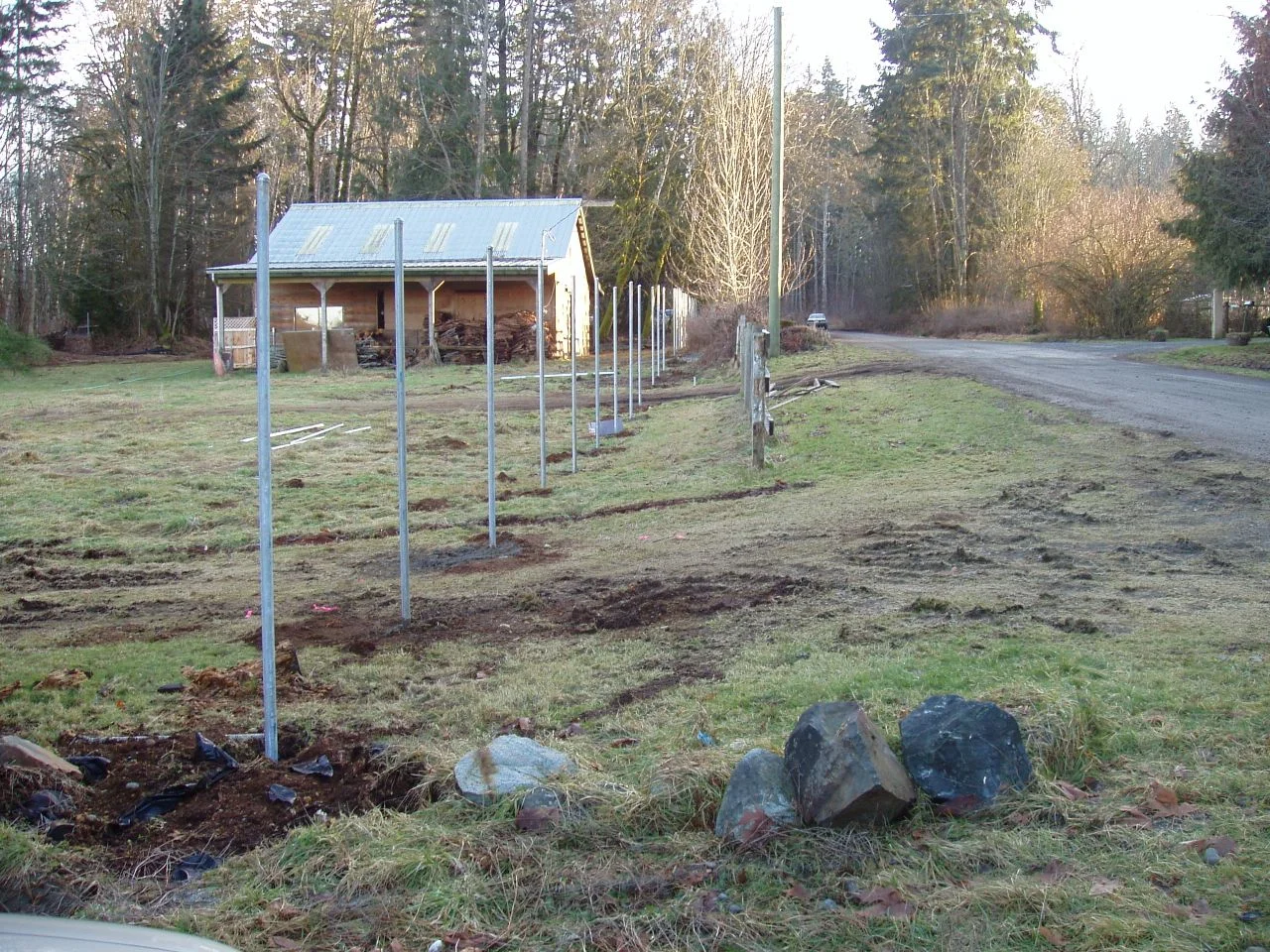 P1010024.jpg