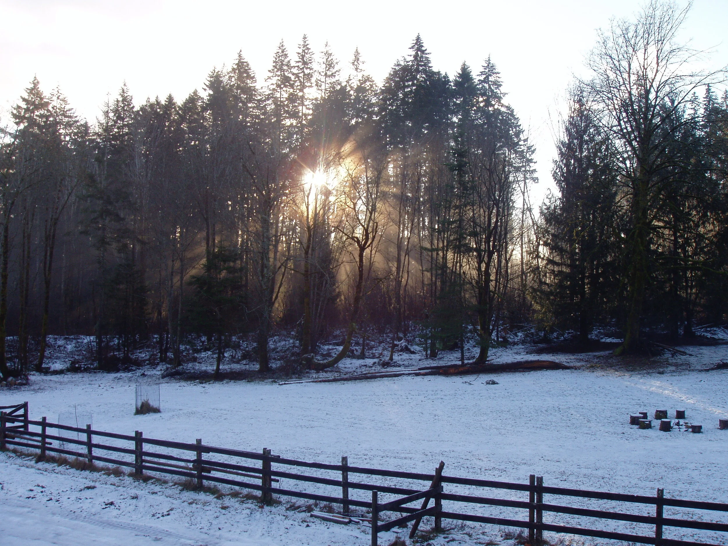 Xmas sunrise.jpg