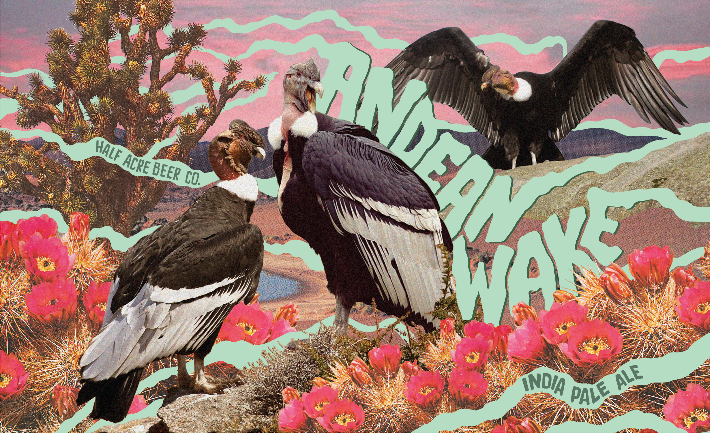 andean_wake_web.png