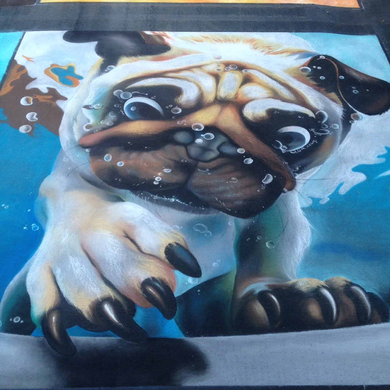  Dry pastel on pavement, 10x10’  San Rafael, CA  2015  Based on a photograph by Seth Casteel (used with permission). 