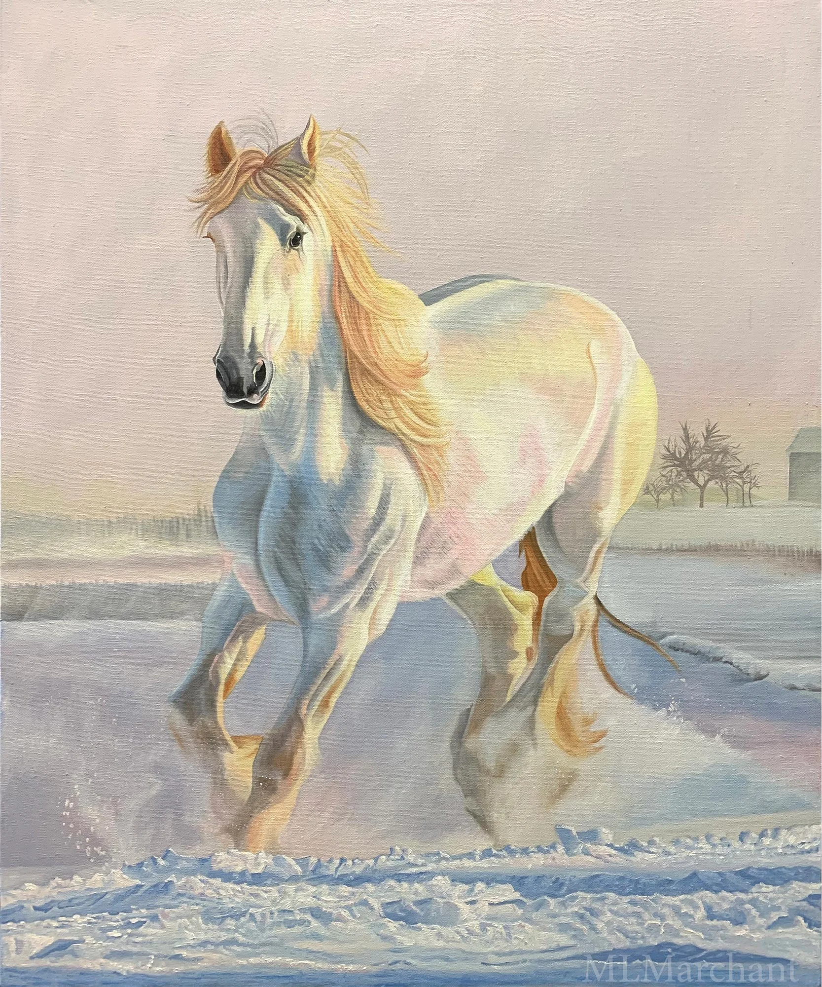 white-horse-in-snow.jpg