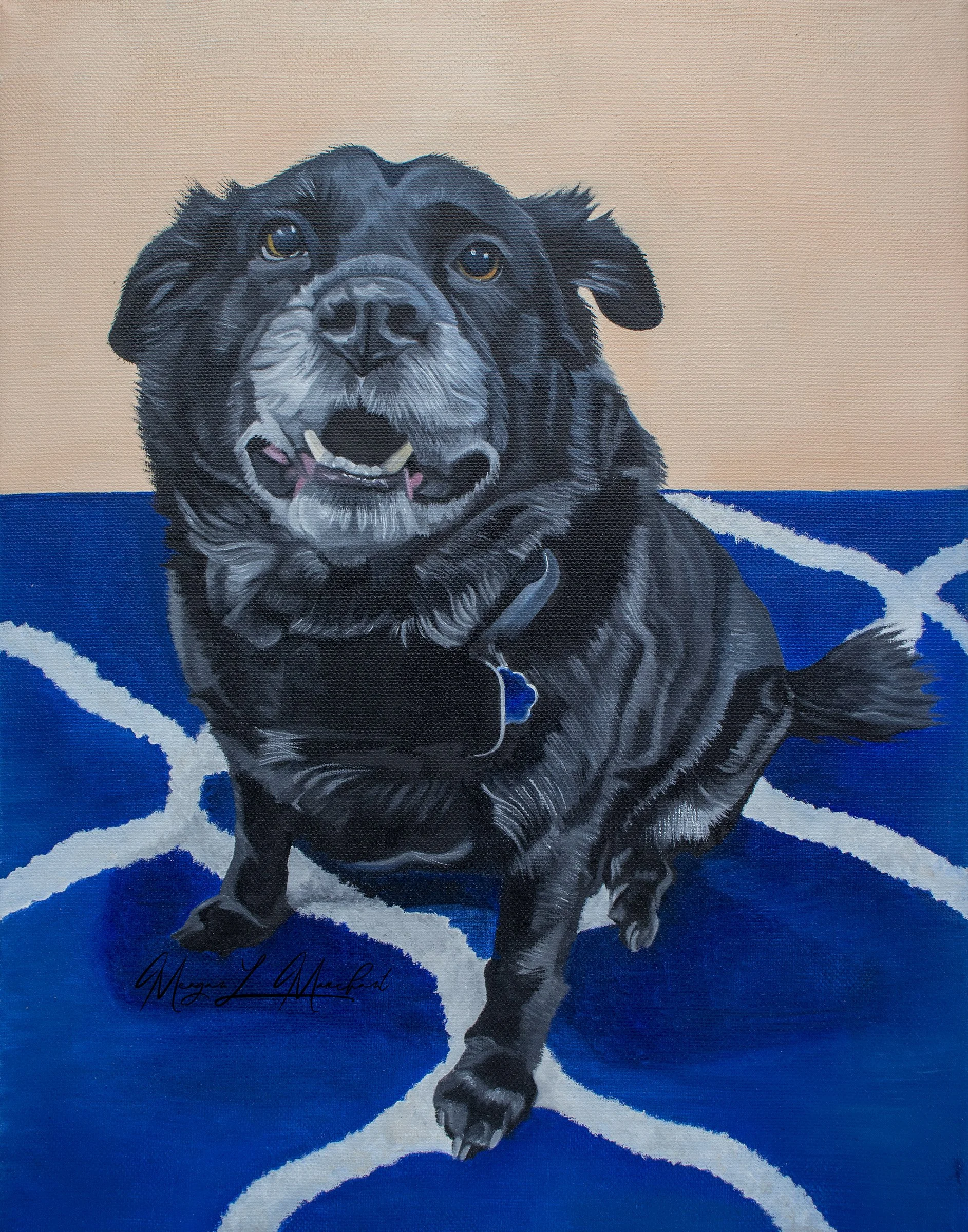 Custom oil painting of a black labrador sitting on a blue carpet