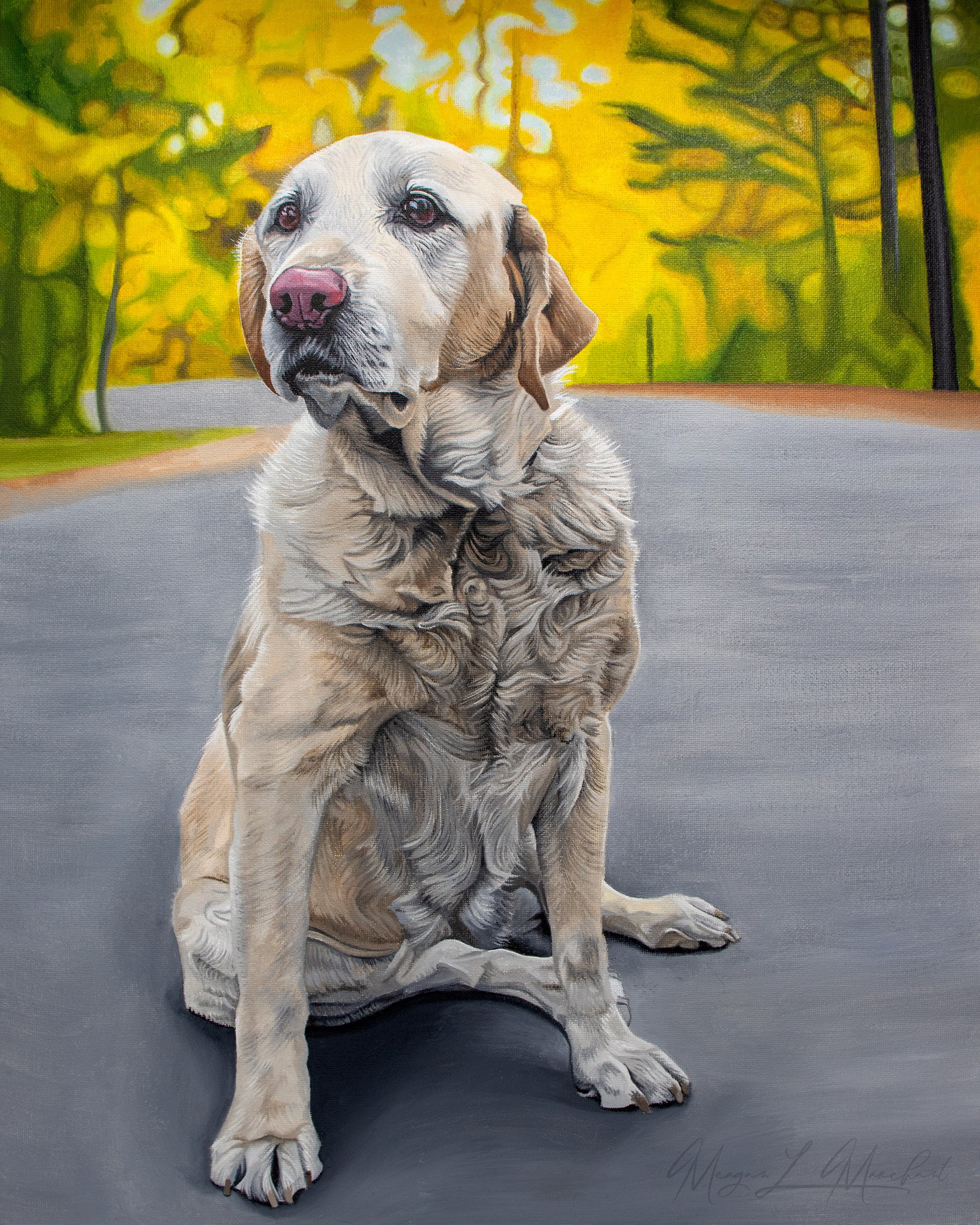 Hand painted pet portrait in oil of a yellow labrador sitting in the middle of the road with tree in the background