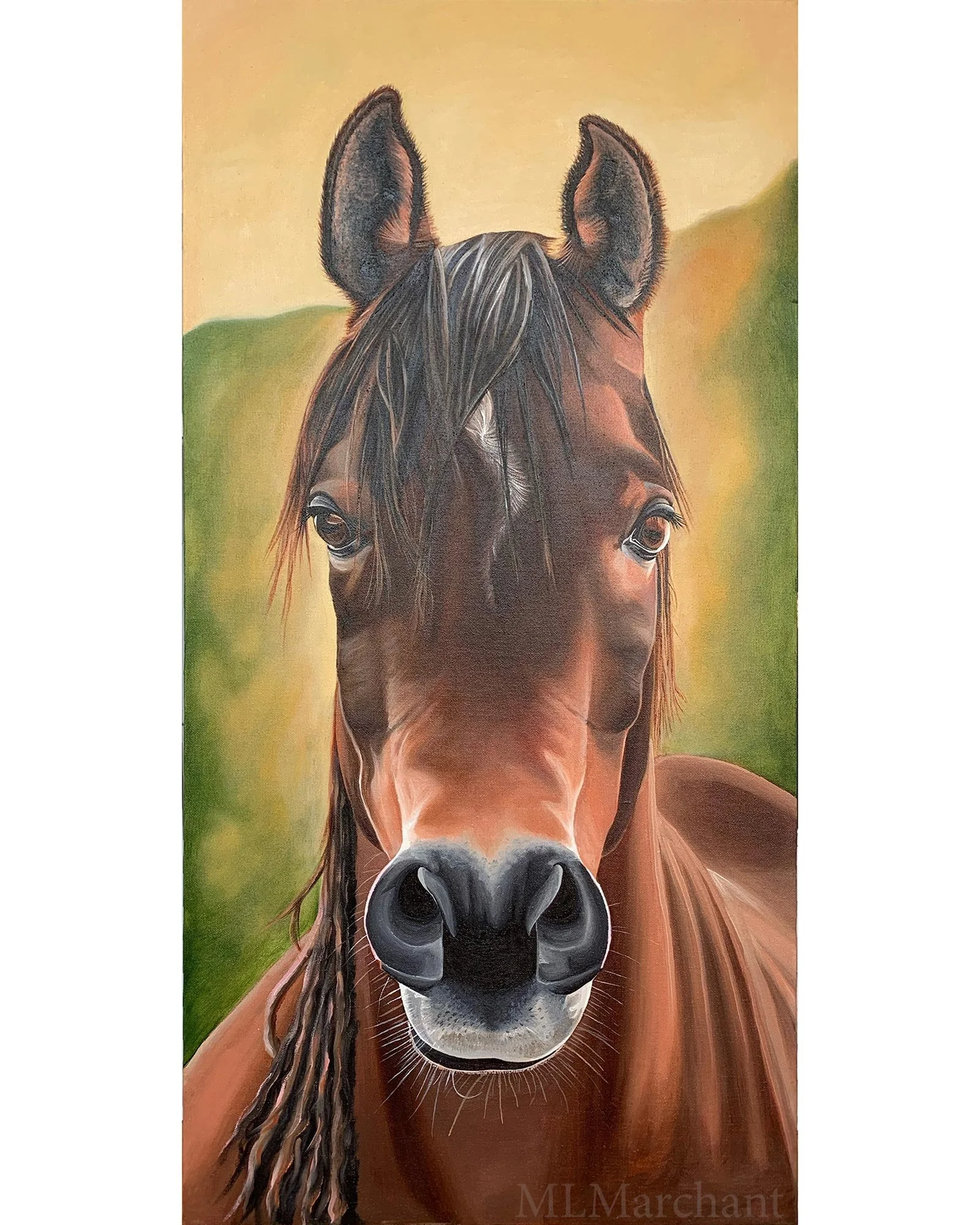 brown_horse_portrait.jpg