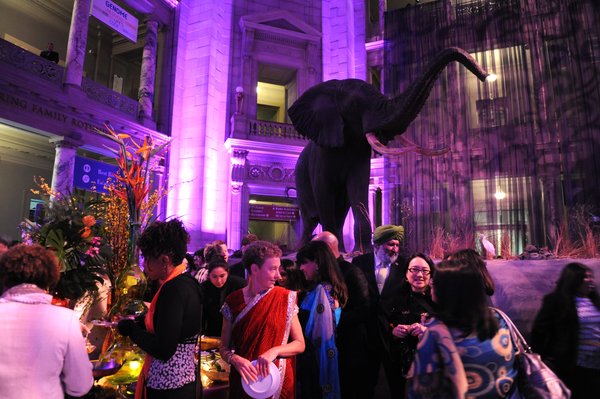 Beyond Bollywood Opening Night, Smithsonian's Museum of Natural History, Washington, D.C.