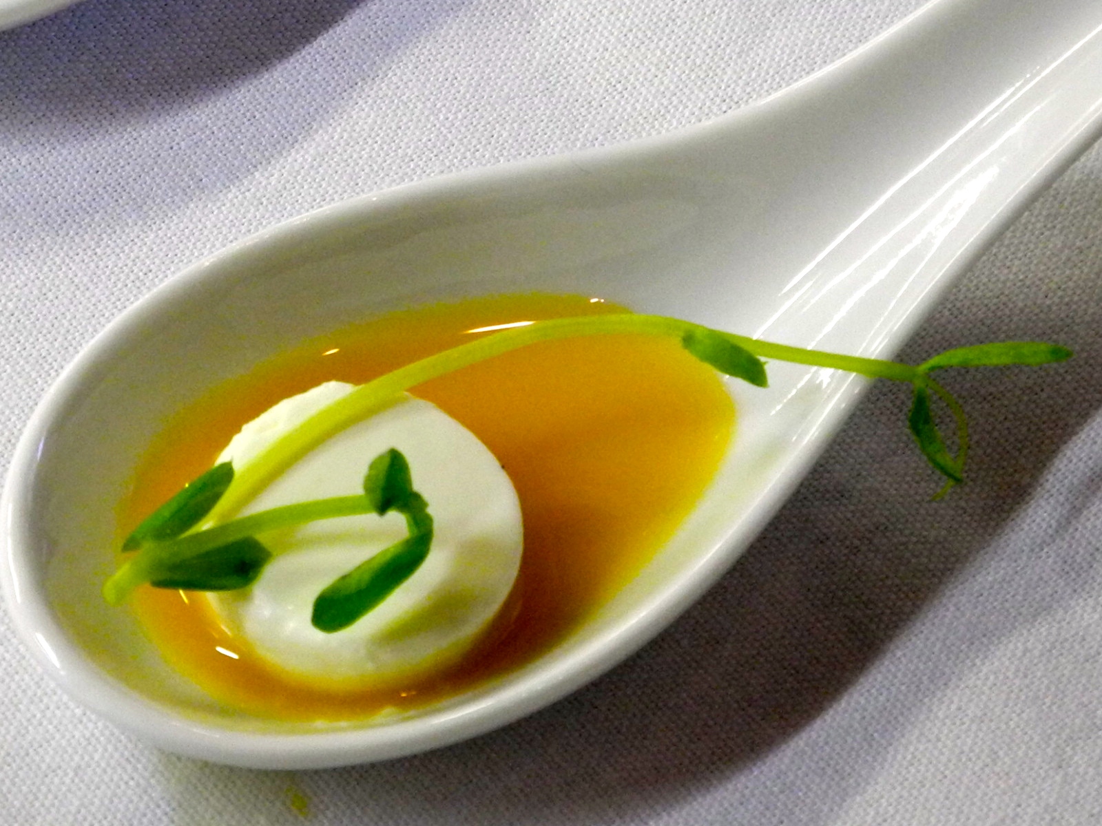 Goat Cheese Panna Cotta with an orange reduction garnished with pea shoots