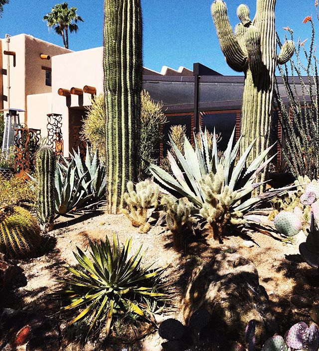 Can&rsquo;t touch this... 🌵perfect weekend celebrating @theoriginalseth &amp; @bnorton12. ✌🏽💖🚴🏼&zwj;♂️🌭