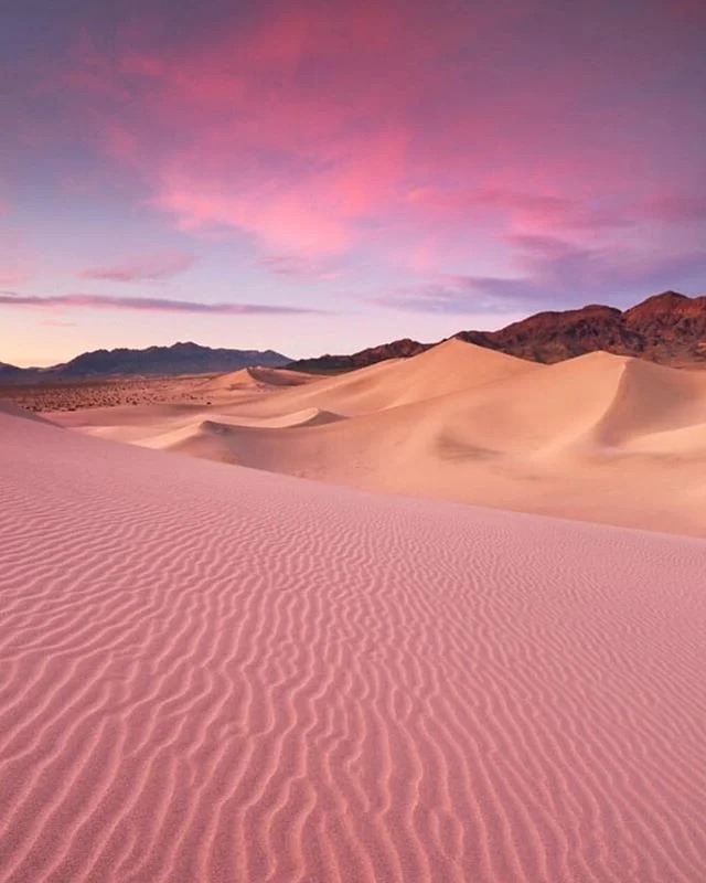 New week vibe: Rose tinted glasses 😍 #thisisfine