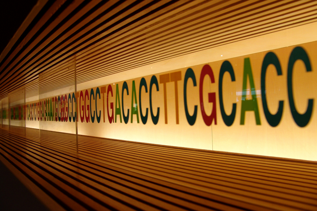 In the quest to understanding one’s history, when all documents are gone and hope towards finding an answer is thin, there remains one unbreakable link to the past: DNA. (MIKI Yoshihito/Flickr)