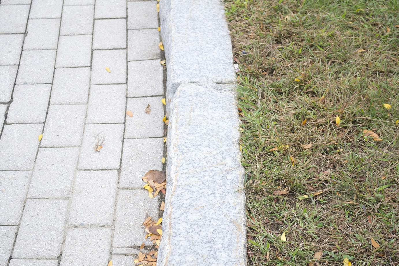 In this photo, a granite curb is seen on the UConn campus. The university’s granite curbs were installed between 1995 and 1996 as part of the UConn 2000 plan under President Harry J. Hartley. (Rebecca Newman/The Daily Campus)
