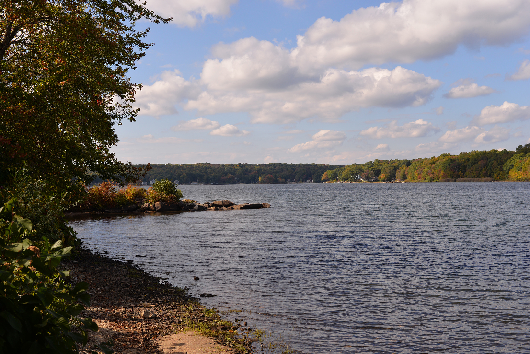 In this photo, Coventry Lake is pictured in Storrs, Connecticut. Invasive hydrilla found in the lake could reduce the area’s recreational value for boaters and other residents, UConn professor Don Les said. (Ashley Maher/The Daily Campus)