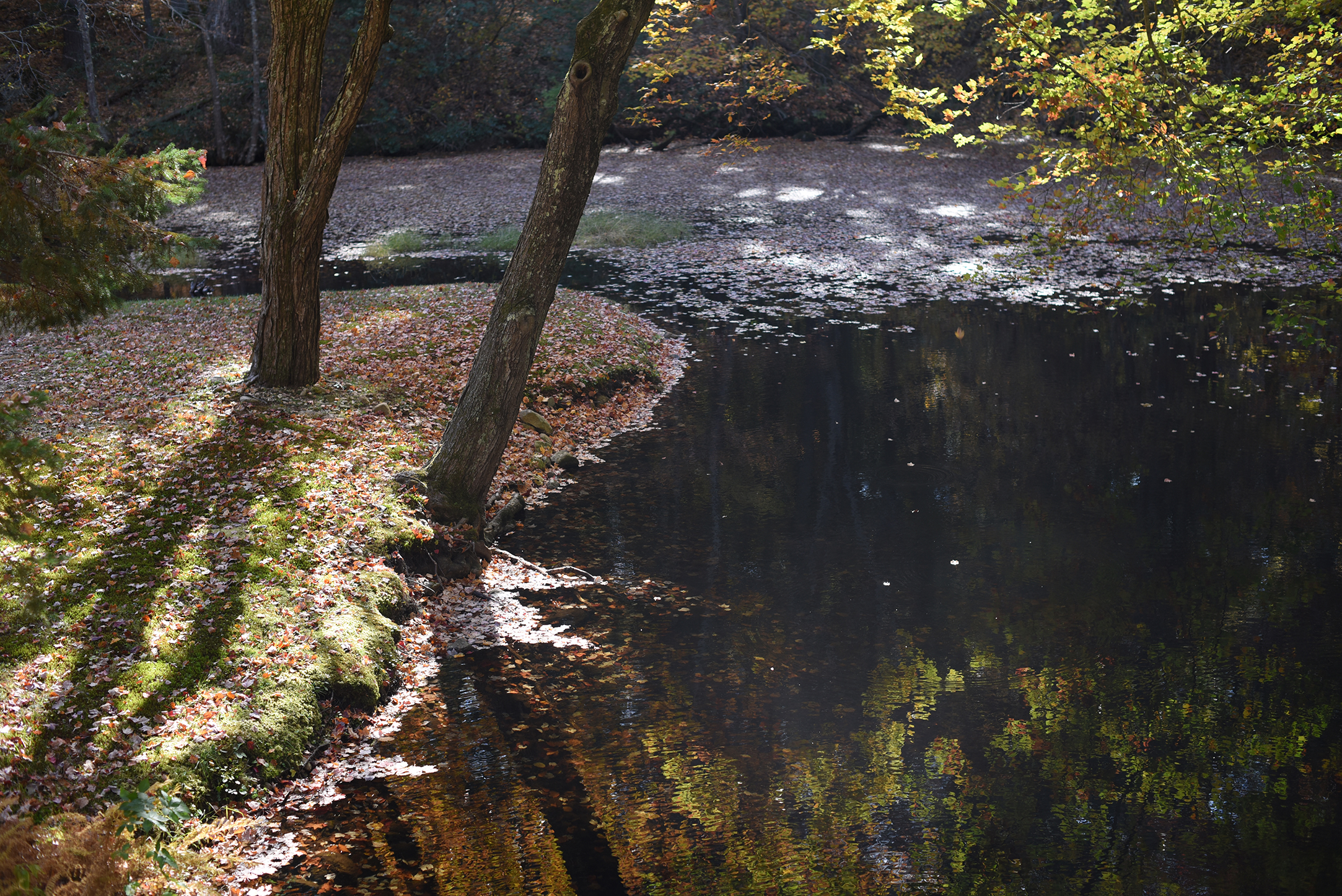 Gov. Dannel P. Malloy announced a new open space grant worth $5.9 million on Friday, with a portion allocated to Mansfield, according to a press release from the governor’s office. (Zhelun Lang/The Daily Campus)