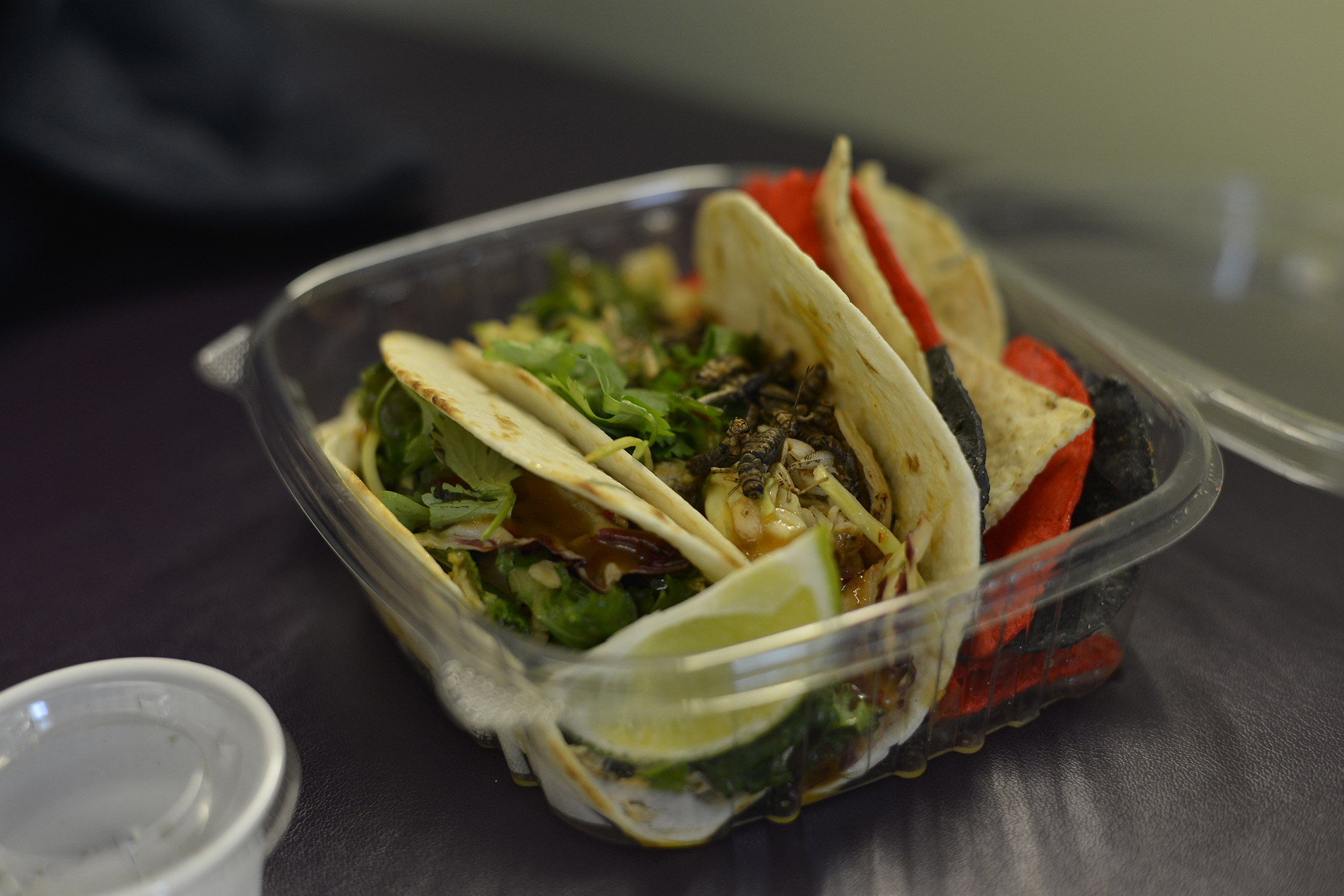 The Food for Thought food truck offers crickets as a side to their tacos. (Photo by Jason Jiang/The Daily Campus)