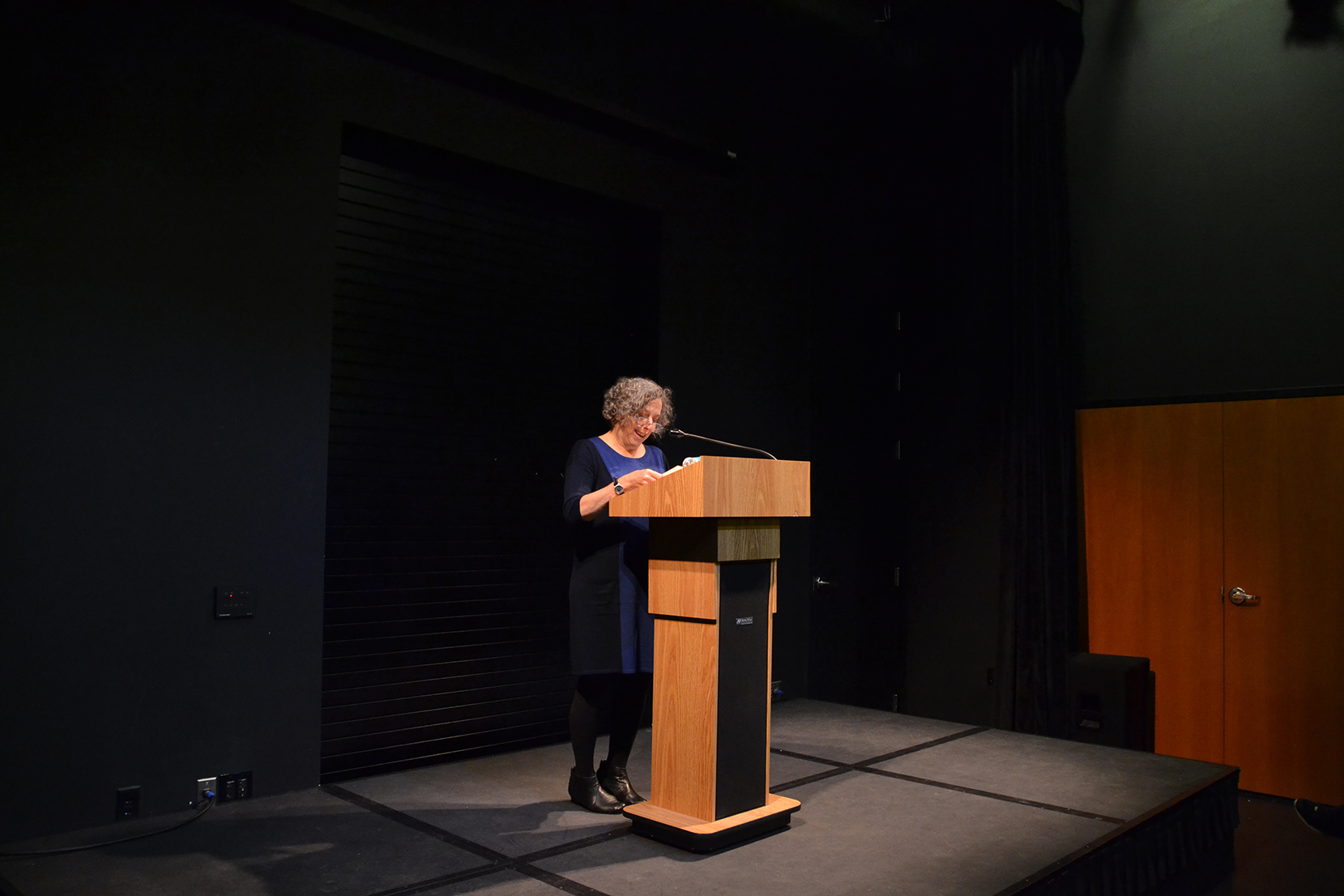 Award-winning poet Jacqueline Osherow speaks during her reading at the UConn Co-op Bookstore at Storrs Center in Storrs, Connecticut on Wednesday, Nov. 11, 2015. (Amar Batra/The Daily Campus)
