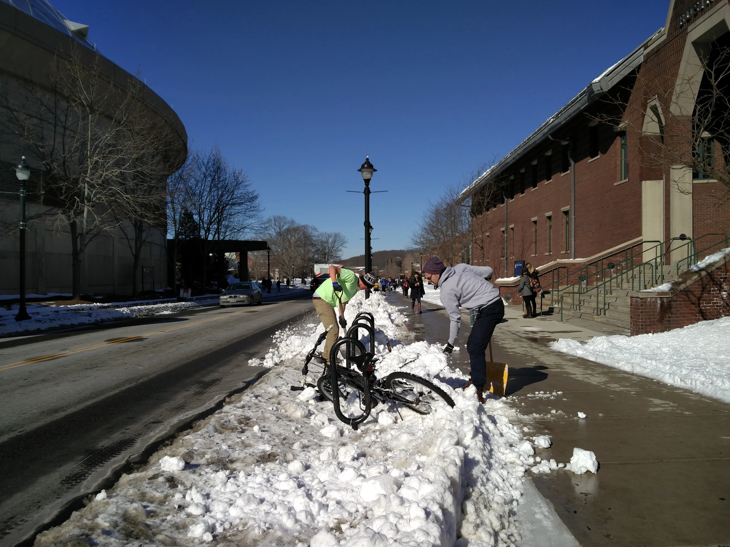 Students shovel post-Storm Jonas. (Jason Jiang/Daily Campus)