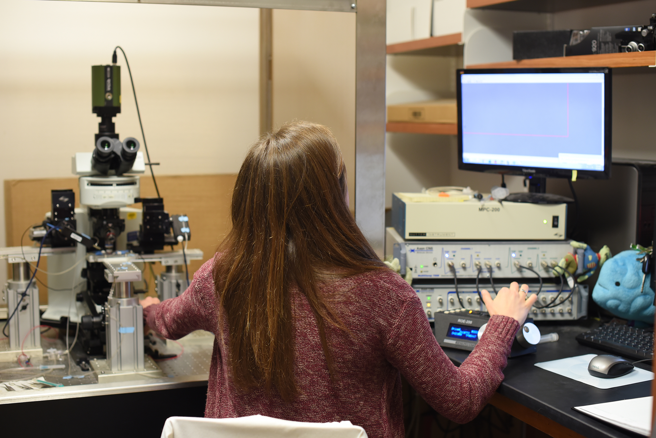 “When people think about the body, they think of something going wrong in one place, but not how that affects the whole system,” said Joannam Hawryluk, a graduate student in the lab. This lab takes a look at ion channels to explain the development of seizures and epilepsy. (Zhelun Lang/Daily Campus)