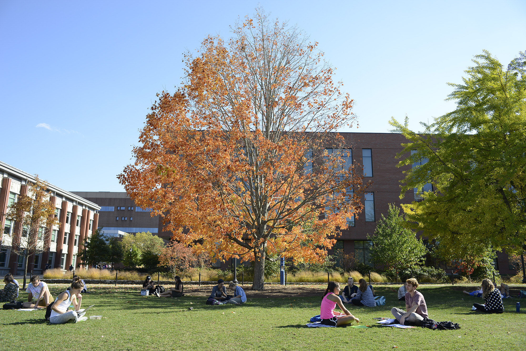 UConn students study on the campus green next to the Student Union Oct. 19, 2016. UConn has recently become one of 50 universities to participate in the Collaborative to Advance Equity Through Research on Women and Girls of Color. (Jason Jiang/ The Daily Campus)