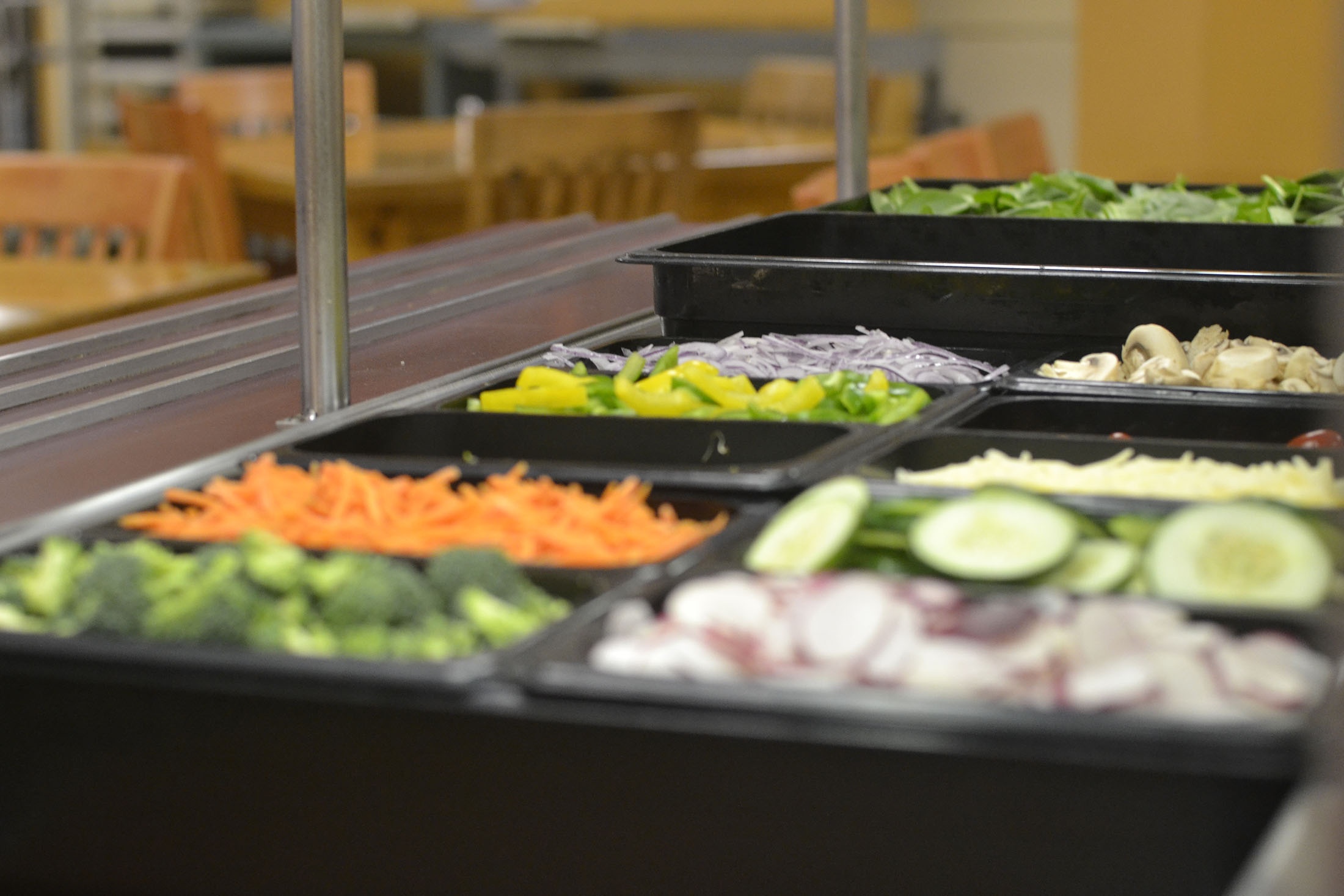 UConn is one of only two schools in Connecticut to be placed on the Dean’s list for peta2’s Vegan Report Card; the other is Yale University. (Rebecca Newman/The Daily Campus) 
