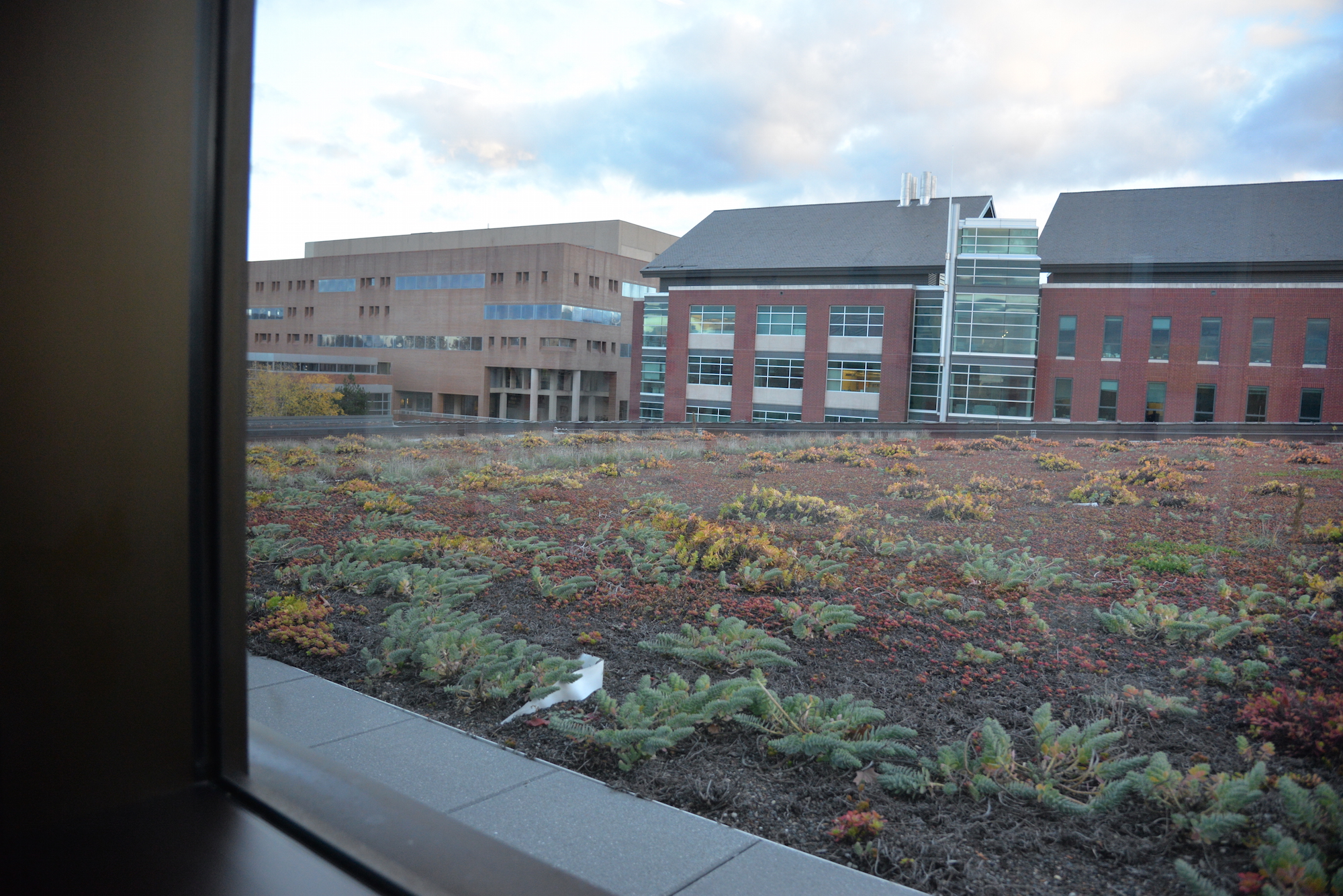 UConn has a strategic plan with "precise measurements for success across a wide range of operational and academic engagement activities," Herbst said. (Amar Batra/The Daily Campus)