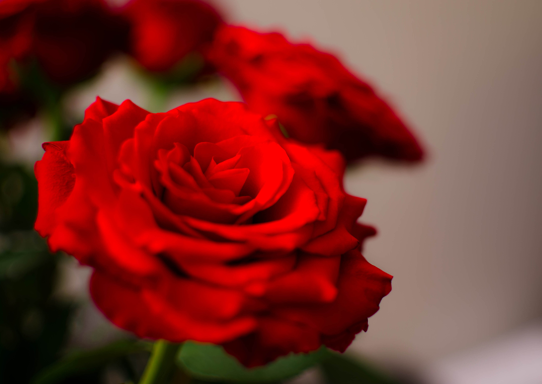 After announcing Nick is “jazzed” about traveling to New Orleans, the women all pack their bags on this weeks episode of "The Bachelor." (Mo Amini/Flickr Creative Commons)
