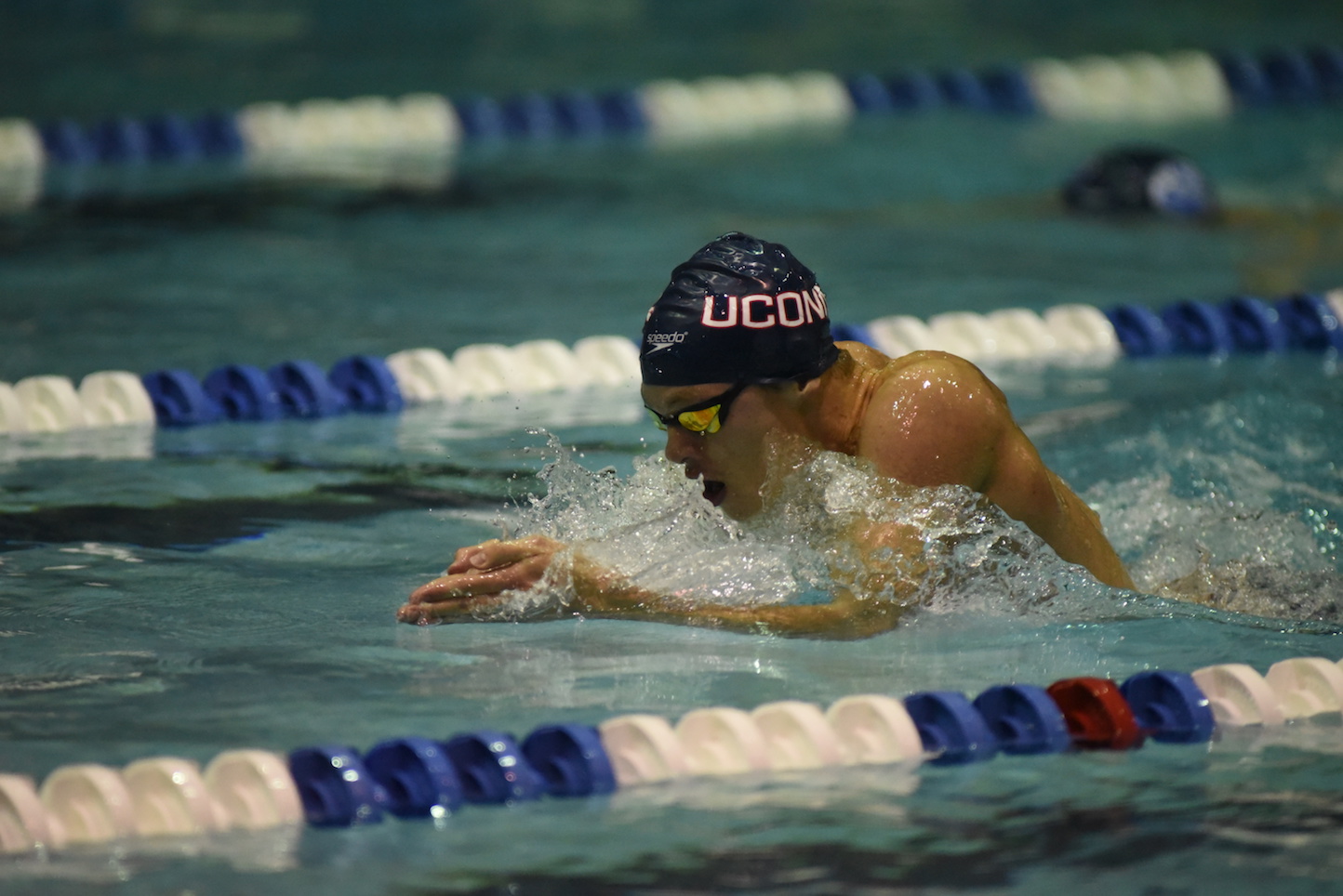 The UConn Swim Team ended the regular season with their annual Husky Open in Wolff Zackin Natatorium. Boston College, SCSU, Boston University, and the US Coast Guard Academy attended the meet. (Charlotte Lao/The Daily Campus)