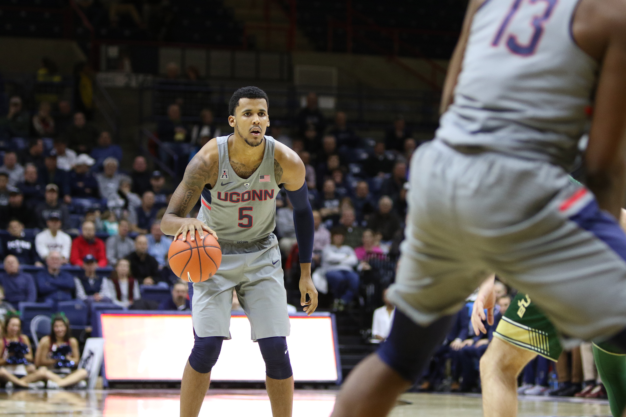 The UConn men's basketball team defeated USF 97-51 on Wednesday, Feb. 8, 2017 at Gampel Pavilion. Wednesday night, the Huskies suffered a close loss to Houston 70-75. (Jackson Haigis/ The Daily Campus)