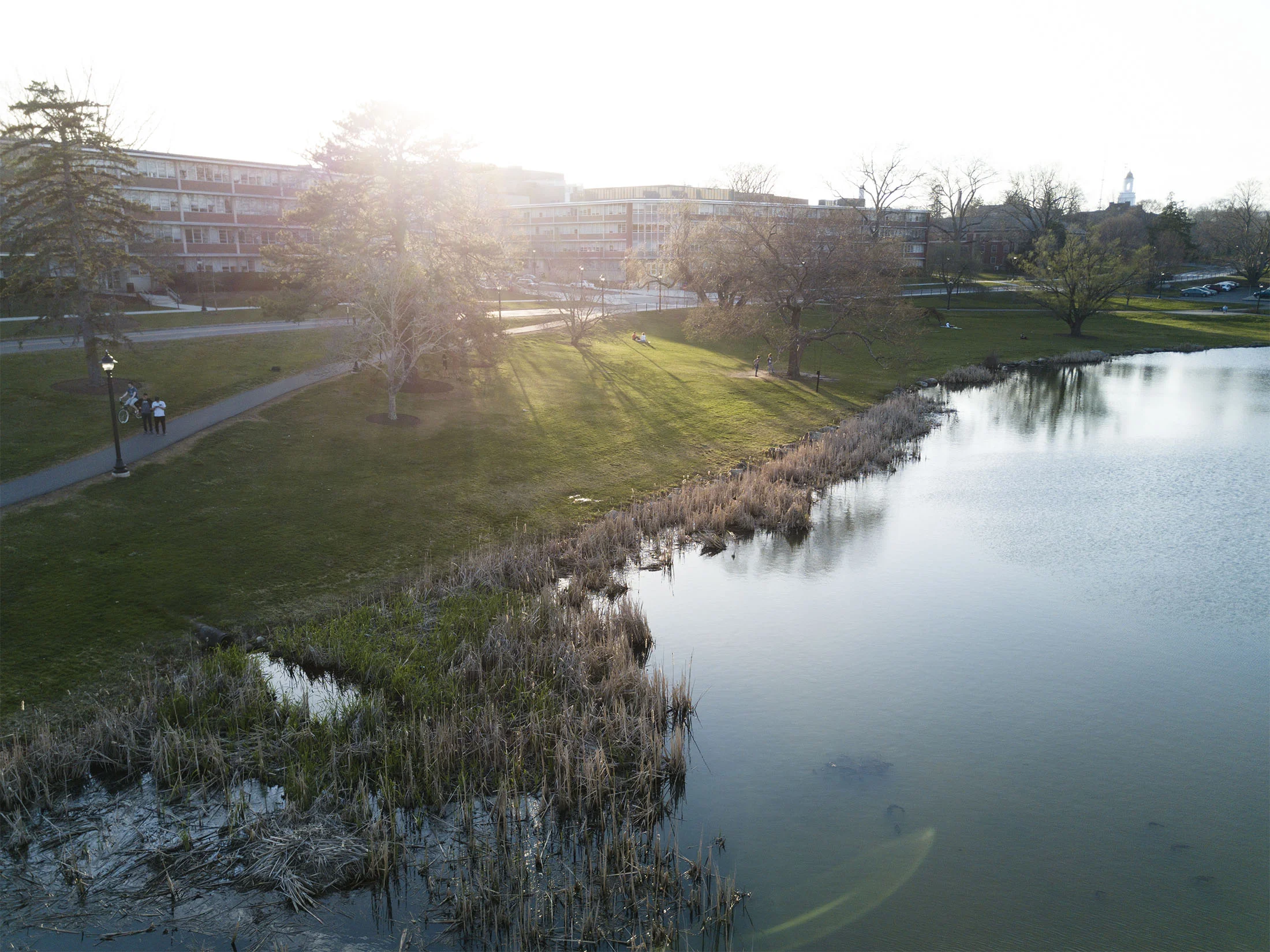 A conversation with UConn’s class of 2021 — The Daily Campus